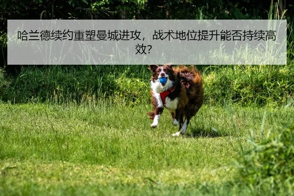 ha-lan-de-xu-yue-zhong-su-man-cheng-jin-gong-zhan-shu-di-wei-ti-sheng-neng-fou-chi-xu-gao-xiao-2-684.jpg